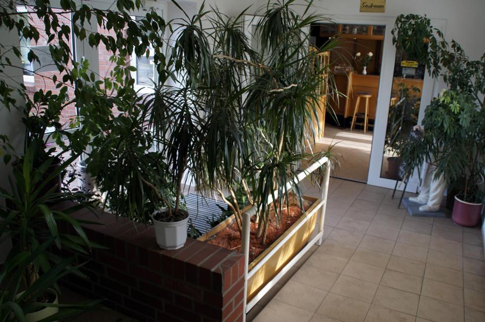 Landhotel Pagram-Frankfurt/Oder Frankfurt  Exteriör bild